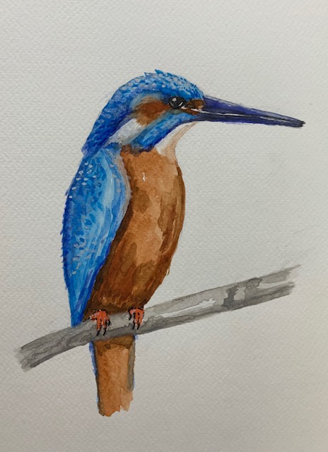 Watercolour painting of a King Fisher Bird